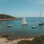 Fort de porquerolles : découvrir la faune marine et les traditions culinaires locales