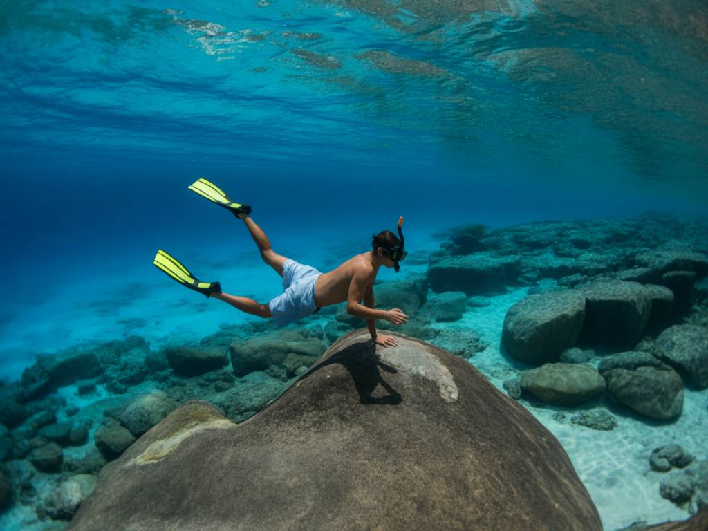 Fond Ravin Ferdinand Praslin : trésor caché des Seychelles pour les passionnés de snorkeling