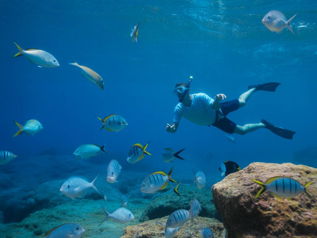 Porquerolles snorkeling : où nager avec les poissons en Méditerranée