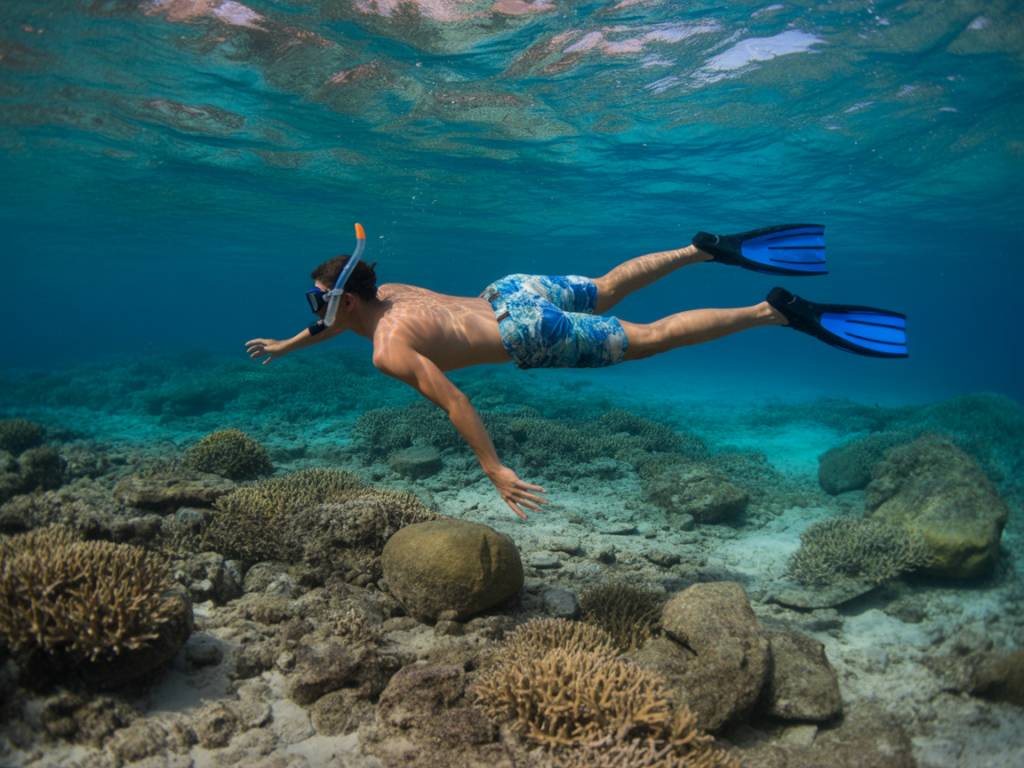 Seychelles snorkeling : les meilleurs spots pour explorer les récifs en toute sécurité