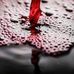 Vins d’exception : à la découverte des trésors cachés des grands crus