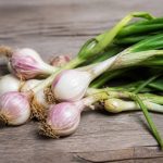 Aillet : recettes, bienfaits et conseils pour bien le choisir