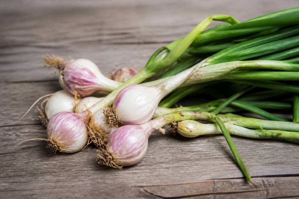 Aillet : recettes, bienfaits et conseils pour bien le choisir