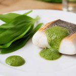 Ail des ours sauce : recettes et accords avec les poissons de saison